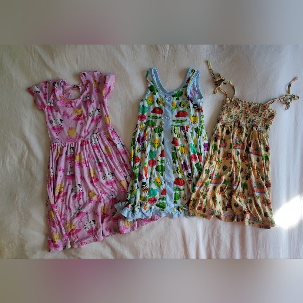 Birdie Bean Bamboo Girls Dress Lot Size 5/6T